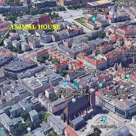 Animal House - Stayinwroclaw Exterior photo