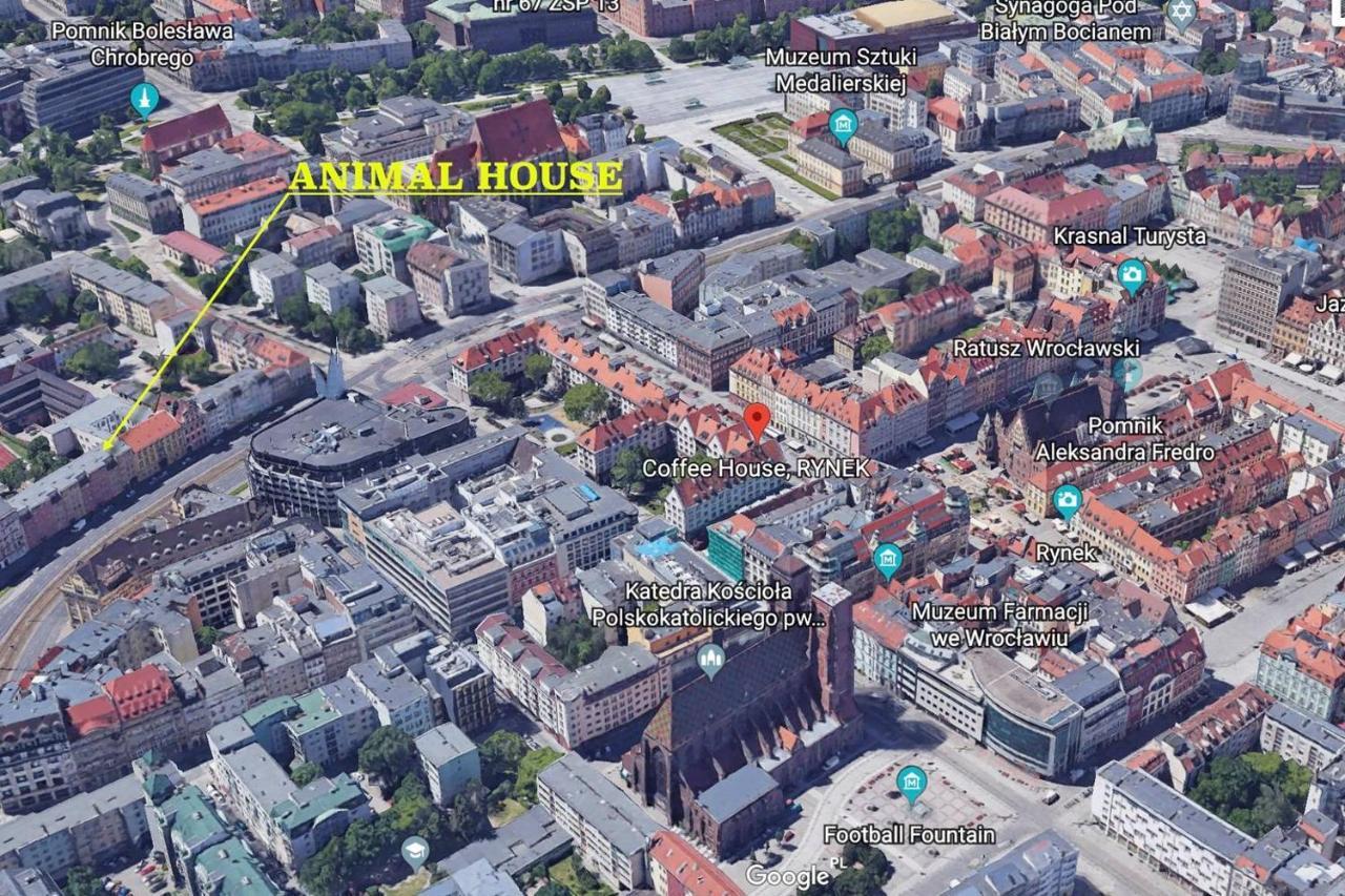 Animal House - Stayinwroclaw Exterior photo